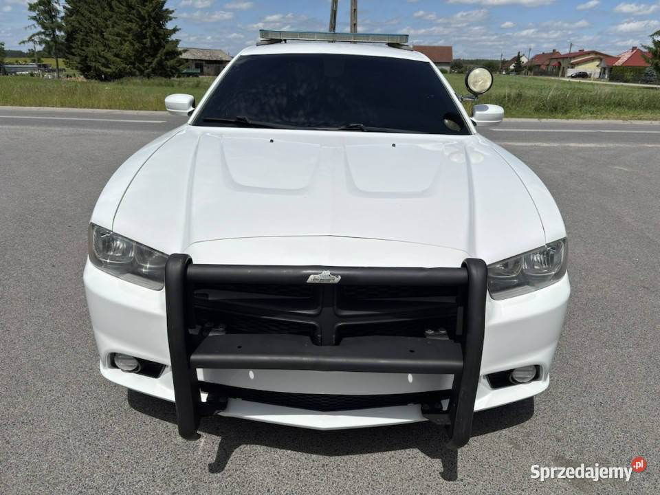 Dodge Charger Dodge Charger Pursuit K9 Sheriff Rok produkcji 2014 Sulechów