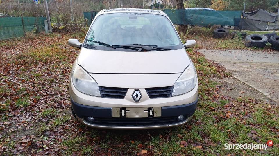 Renault Scenic 2006 r 19 130 Scenic Rzepin