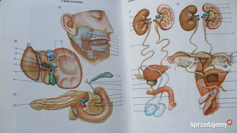Encyklopedia zdrowia medycyna zdrowie Łódź