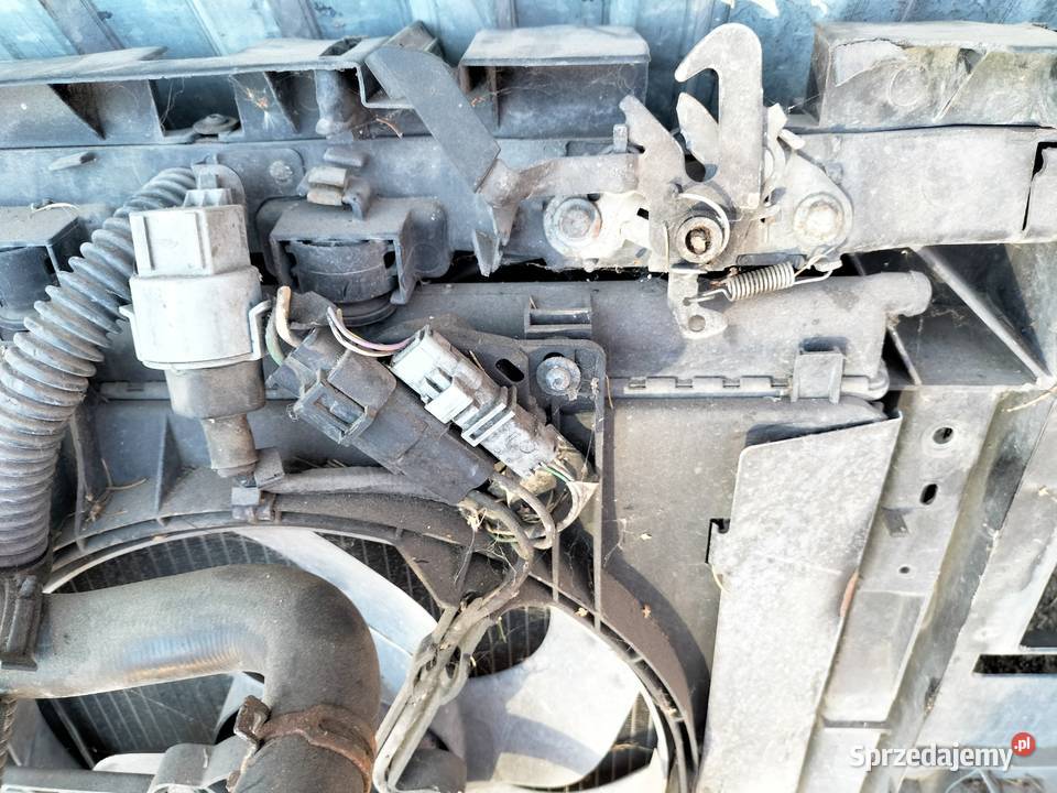 Citroen C3 Mk1 14HDI PAS PRZEDNI ZAMEK WĄŻ Kamień-Kolonia