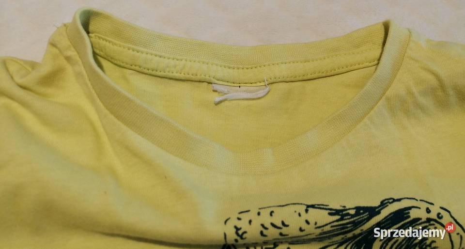 Koszulka krótki rękaw Tshirt żółta kameleon 104