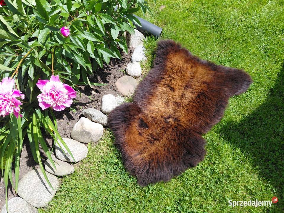 POLSKIE SKÓRY OWCZE Naturalna Skóra Owcza małopolskie Szaflary