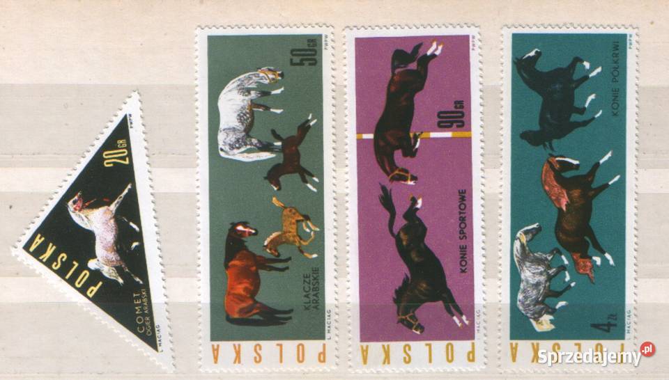 Zn Fi 1299 302 4 7 1963 Gliwice sprzedam