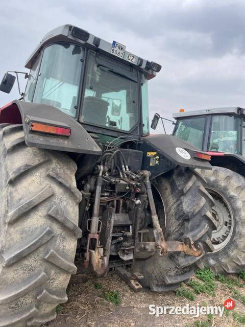 Massey Ferguson 8160 wielkopolskie Jastrzębniki sprzedam