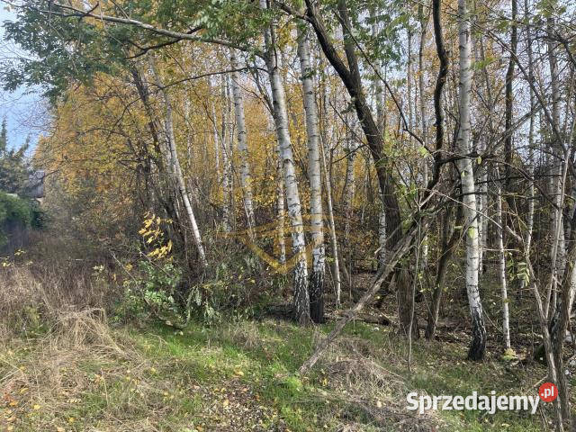 Działka Książenice 4046m2
