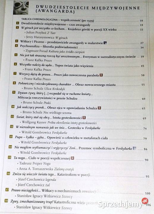 Nowe Zrozumieć tekst zrozumieć człowieka 3 Język lubelskie sprzedam