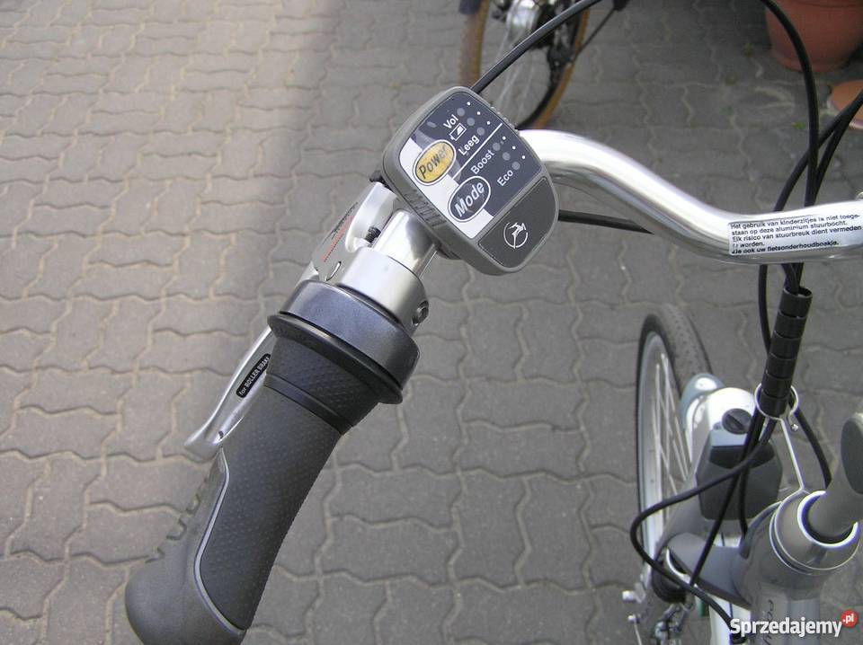 Rower elektryczny Gazelle Easyglider Kampinos