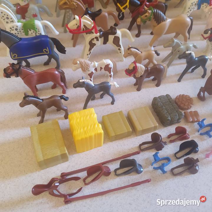 Figurki do zabawy Playmobil Gdańsk