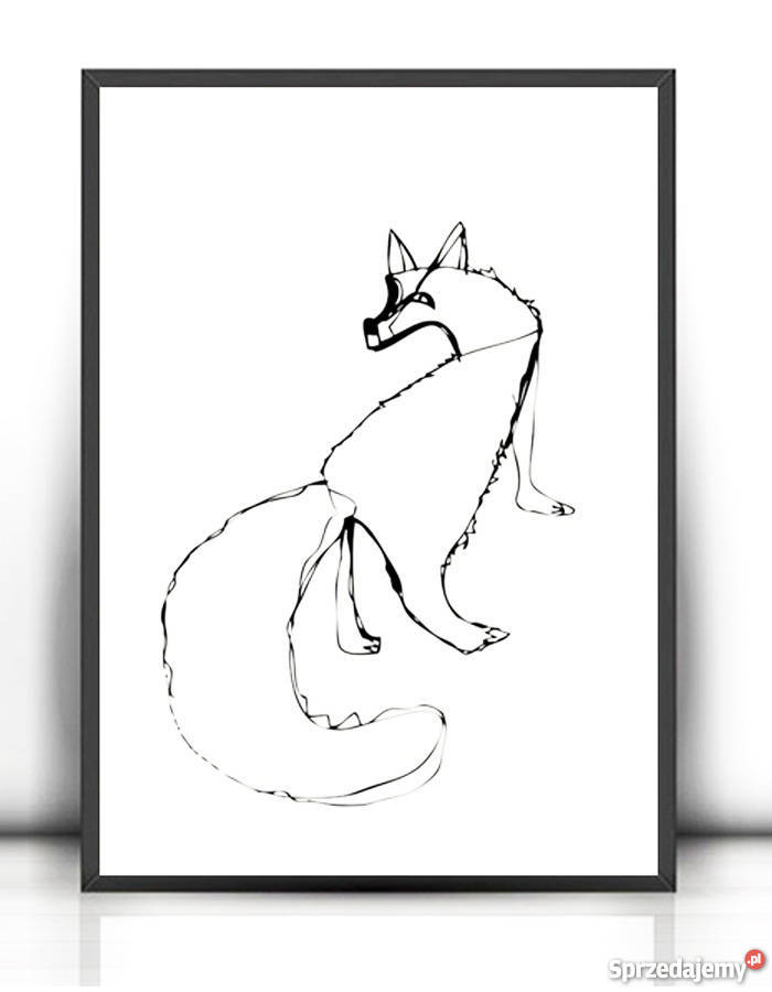 30x40 biało czarny plakat z liskiem scandi Katowice