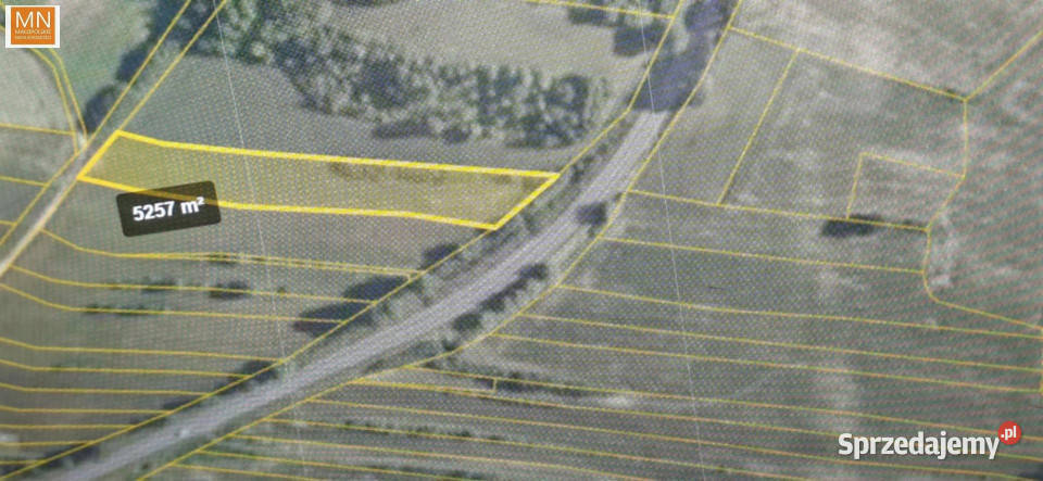 Grunt Koszyce 12142 metry 8zł/m2 Sprzedaż