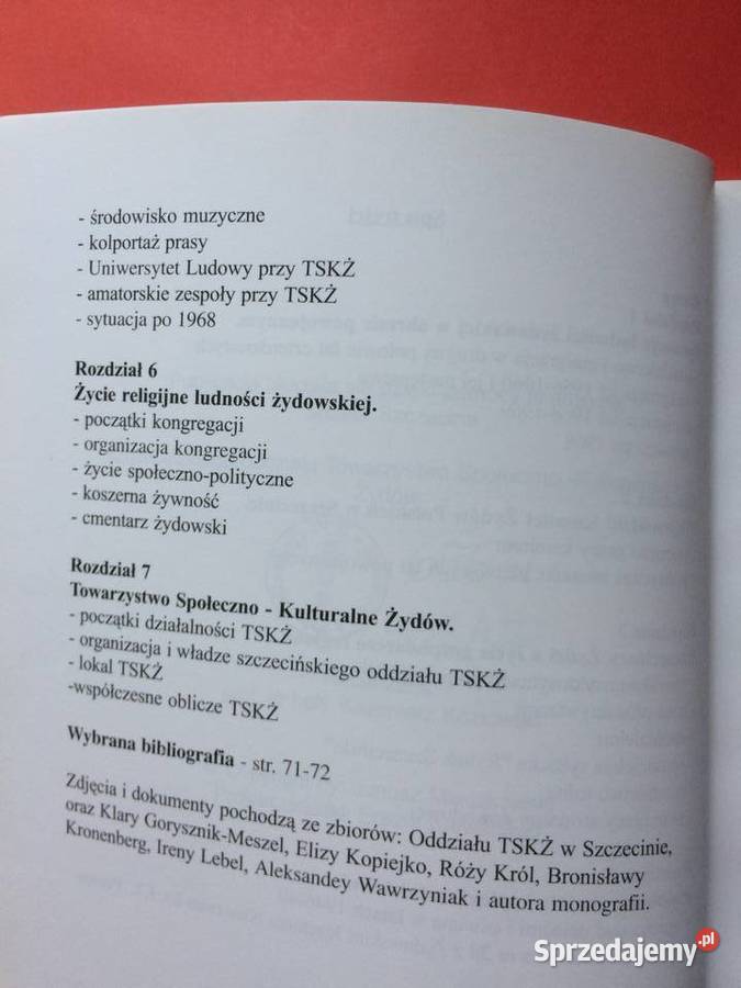 3216 Między Emigracją A Asymilacją Szczecińscy Antykwariat Szczecin