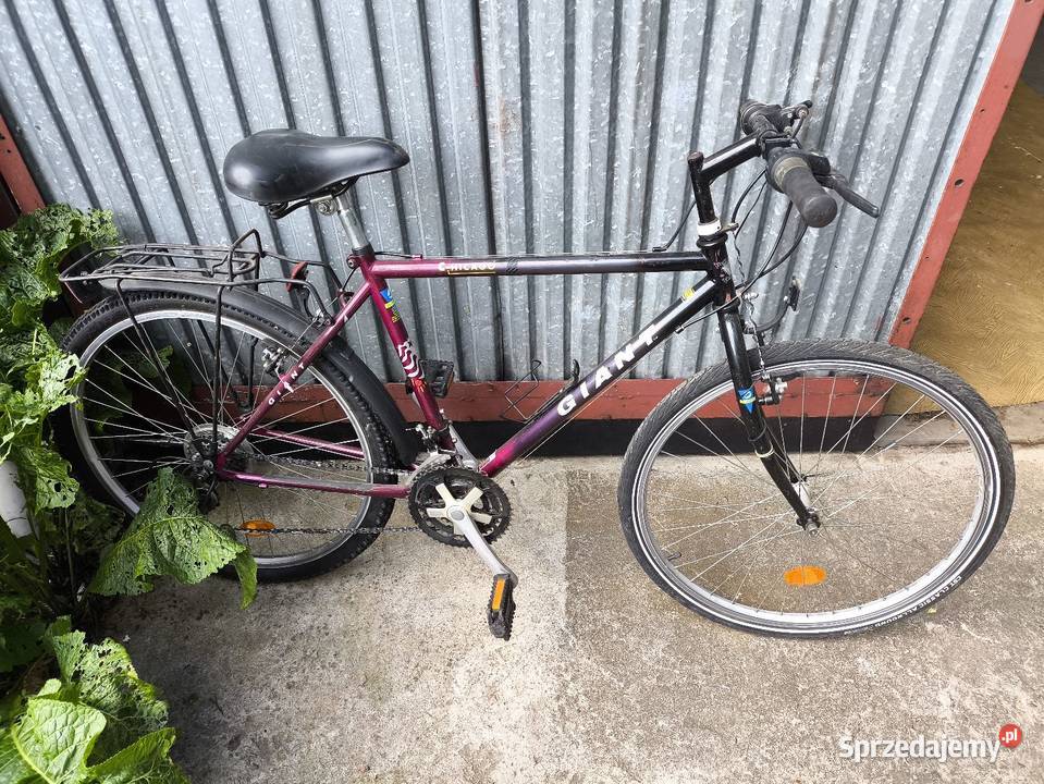 Rower Giant Chicago 26 Wolbrom