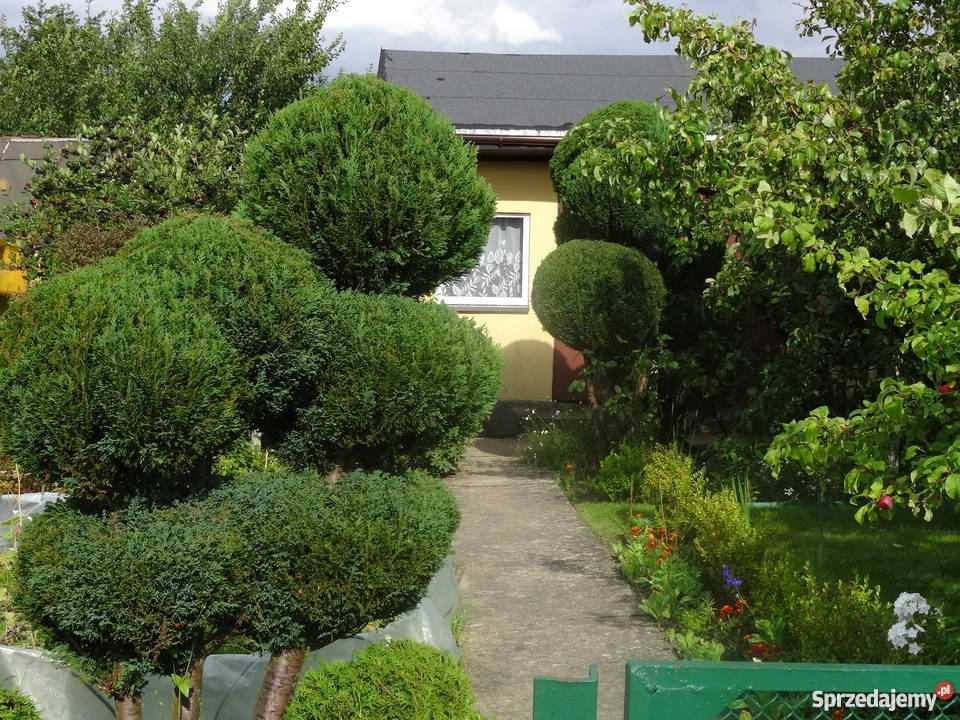 Sprzedam działkę rekreacyjną Janiska Kołobrzeg