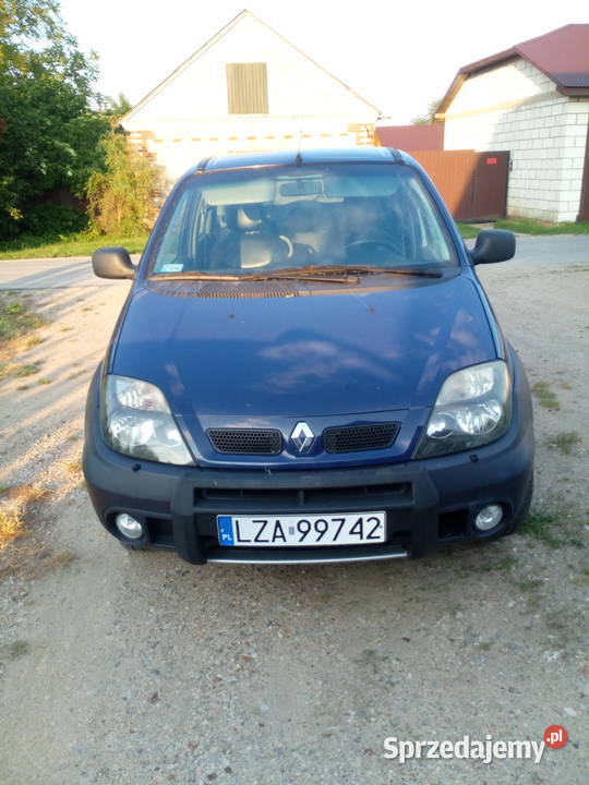 Renuwka Sułowiec sprzedam