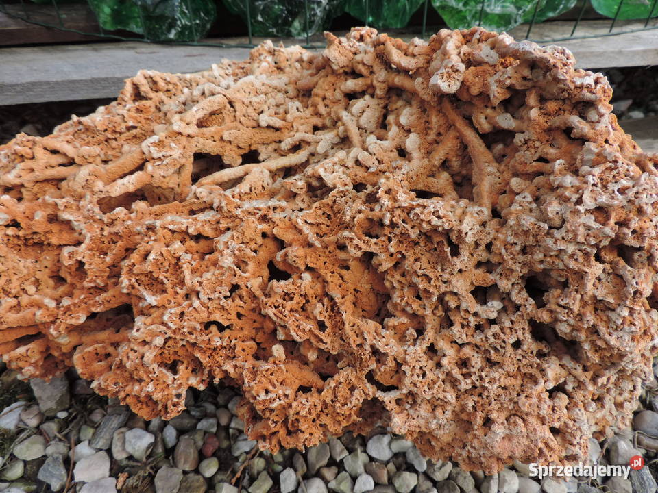 Kamień bryła Spaghetti Skała 200400 kamień Oświęcim