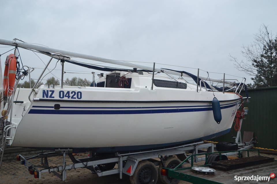 Sasanka 650 Mazurek Iława