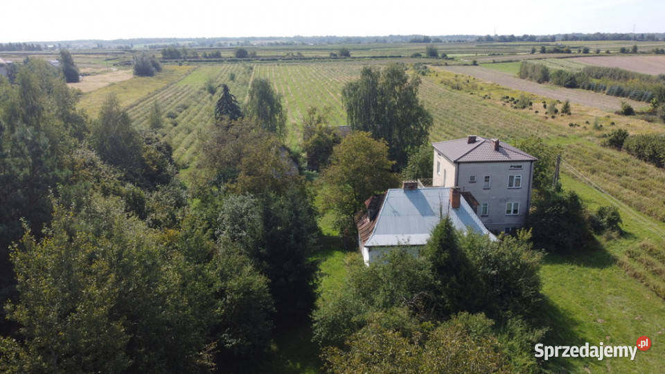 Działka budowlanousługowa w Końskowoli gm Puławy Sprzedaż Końskowola