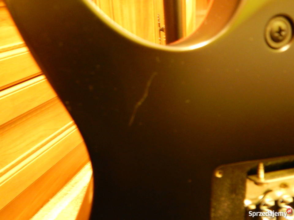 Ibanez GRG 250 DX stn zachodniopomorskie Szczecin