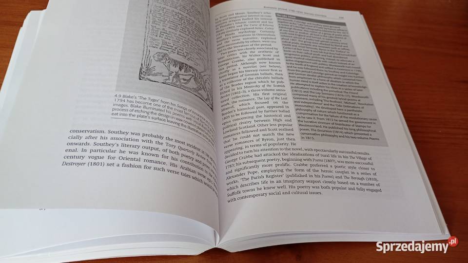 English literature in context gen ed Paul pomorskie