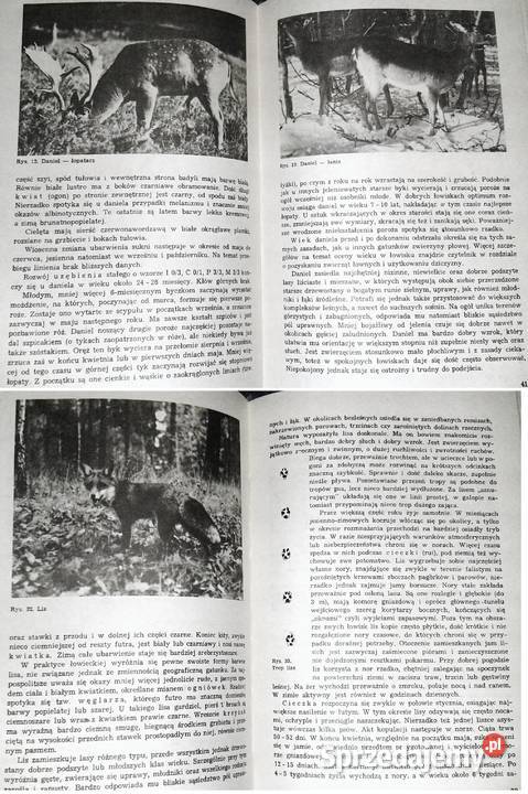 Gospodarstwo Łowieckie Haber Pasławski Chełm