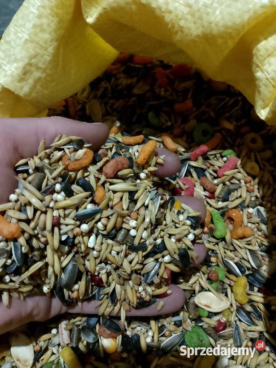 Karma papug kanarków gryzoni Ptaki Strzeleczki