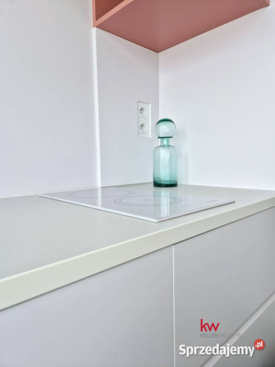 Mieszkanie 255m2 1pok Poznań Błażeja