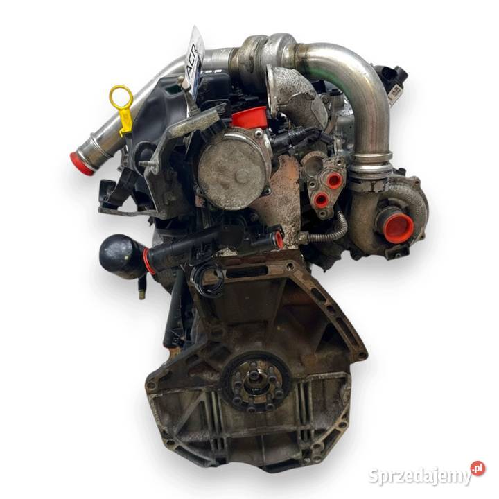 SILNIK K9K282 Nissan Qashqai J10 15 DCI 106 Chełm