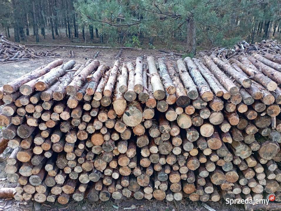 Drewno opałowekominkowe Brzóza