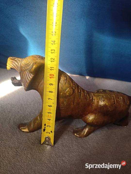 mosiezny tygrys Łódź sprzedam