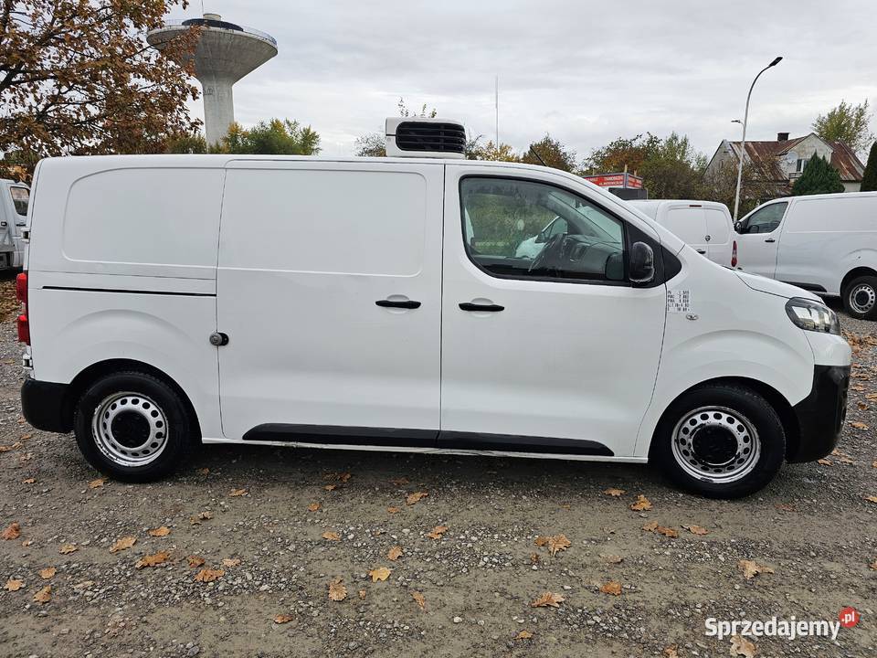 OPEL VIVARO MAXI L3H1 CHLODNIA MROZNIA CARRIER serwisowany w ASO Tarnobrzeg sprzedam