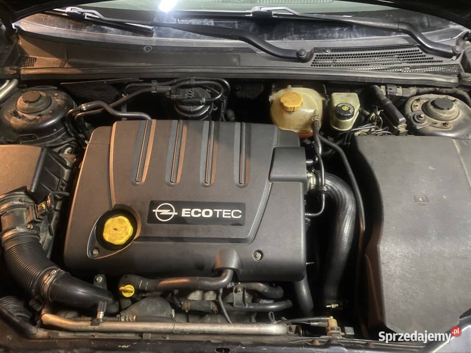 OPEL SIGNUM 19CDTI 120 2007 manualna Połaniec