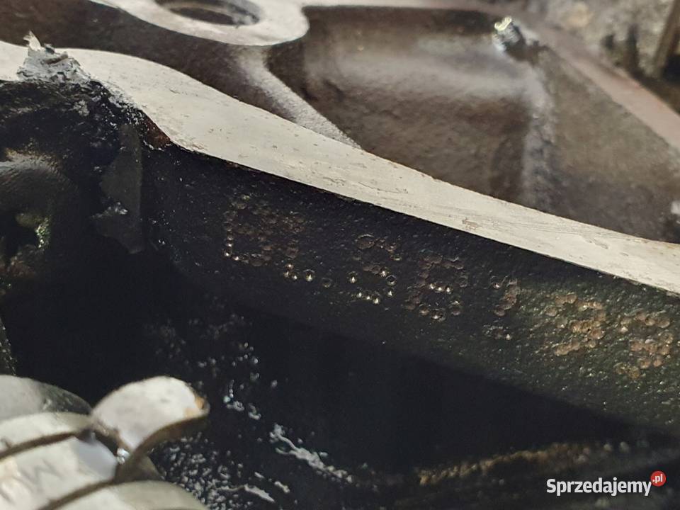 SILNIK BLS Seat Ibiza IV Altea Leon II Toledo osobowe Silniki kompletne Chełm sprzedam