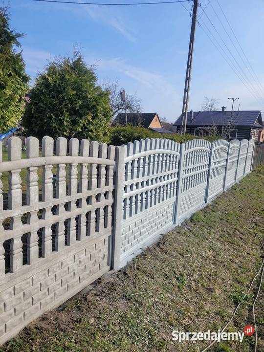 Malowanie Dachu Dachow mycie dachu kostki Groble