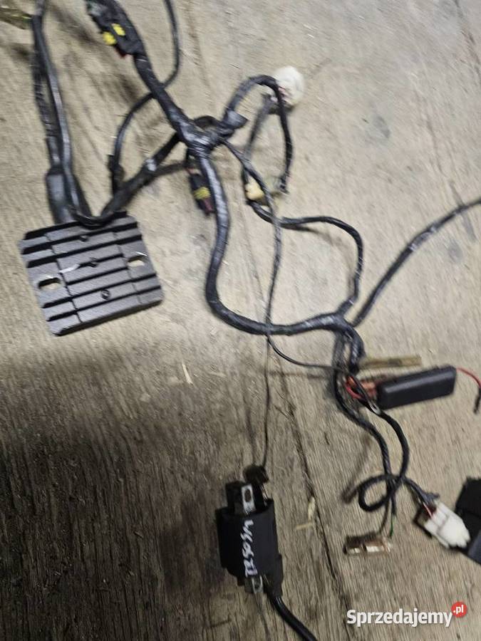 Generic trigger tr 50 SM instalacja elektryczna Jelenia Góra