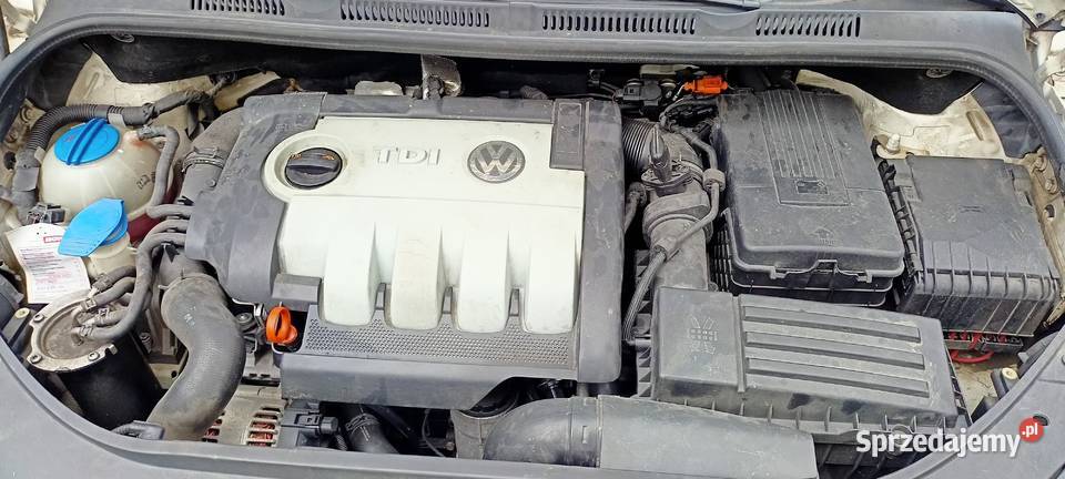 Volkswagen Golf Plus 19TDI o mocy 105 w wersji śląskie Kobiernice