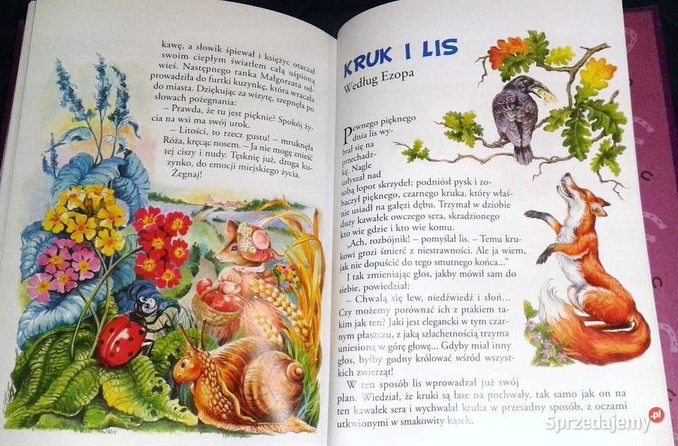 Konik garbusek i inne bajki praca zbiorowa Chełm