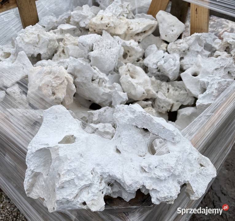 WAPIEŃ FILIPIŃSKI Biała Skała do Akwarium Malawi