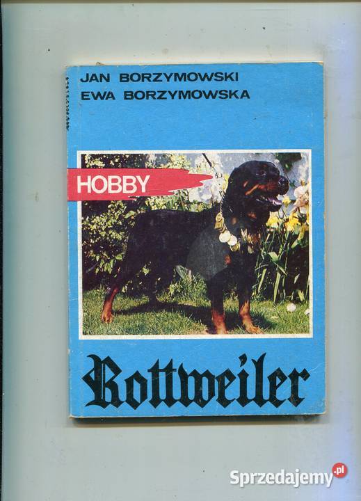 Rottweiler Borzymkowski Szczecin