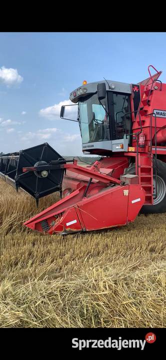 Massey Ferguson 38 40 Grodzisk Wielkopolski