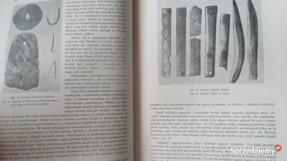 Początki państwa polskiego Tymieniecki Labuda Łódź sprzedam