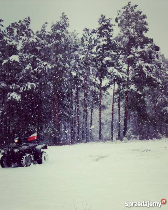 Quad BS250s5 PRZEPRAWOWY Wyciągarka PŁUG Nego czterosuwowy świętokrzyskie Wodzisław