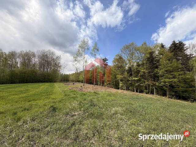 Działka 600m2 Zagórze budowlana sprzedam