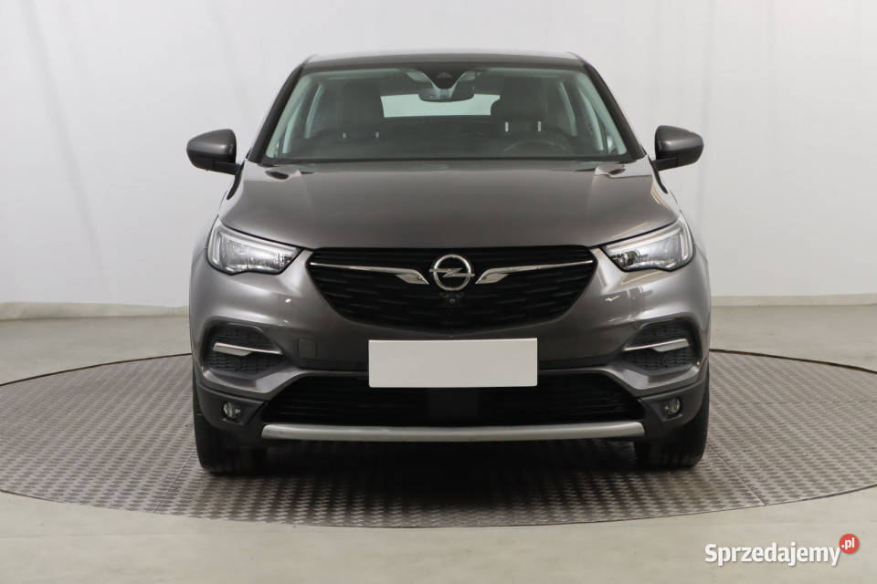 Opel Grandland Plugin Hybrid4 Grandland X Zabrze