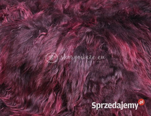 Narzuta ze skóry owczej islandzkiej burgundwino małopolskie Szaflary