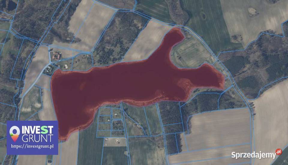 2462 ha przetarg na dzierżawę jeziora 246200m2
