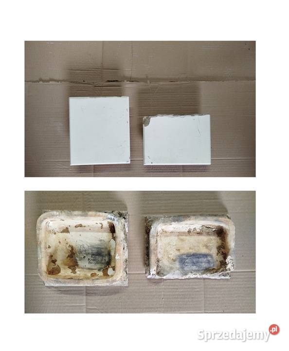 Kafel Piecowy Zabytkowy Paul ADASCH Krotoschin Pozostałe Laski