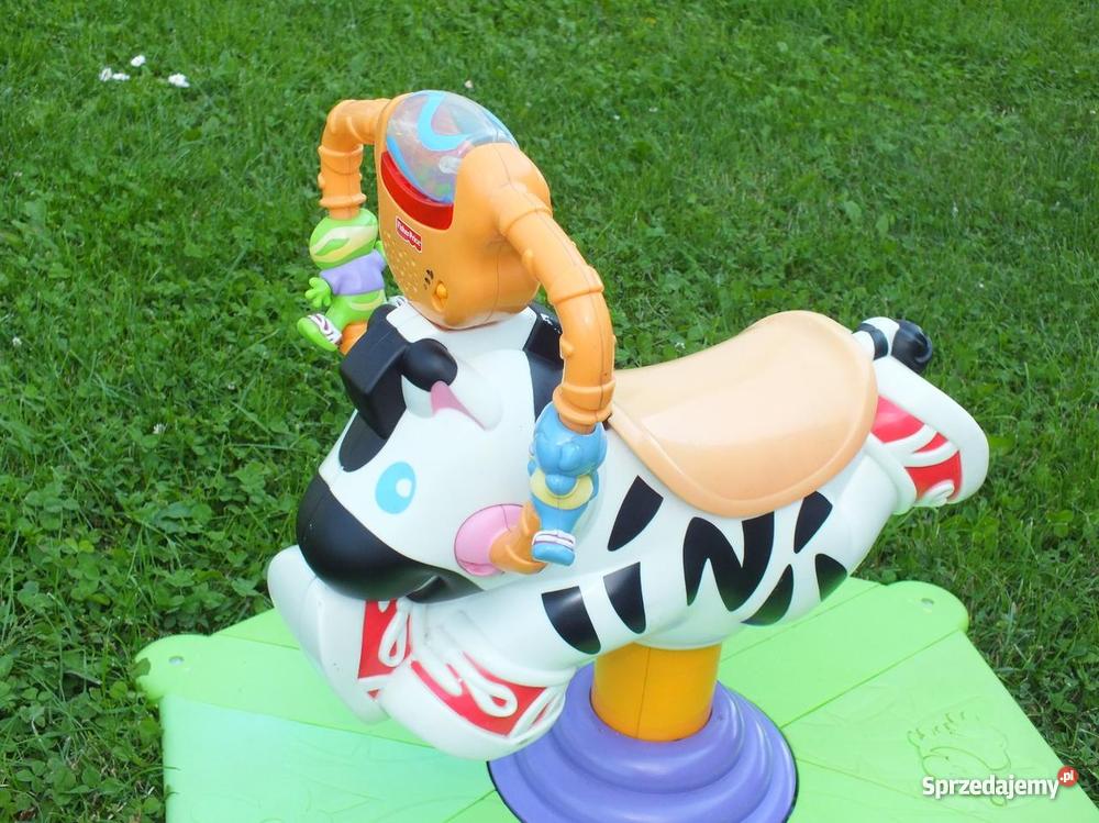 skoczek zebra fisher