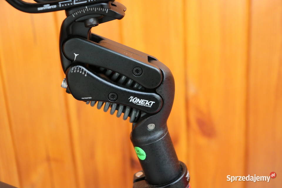 Elektryczny rower Thomus Sliker X Ultimate H 45