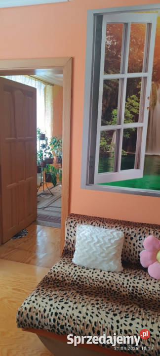 Sprzedam nieruchomość w Ostrówku Węgrowskim Ostrówek