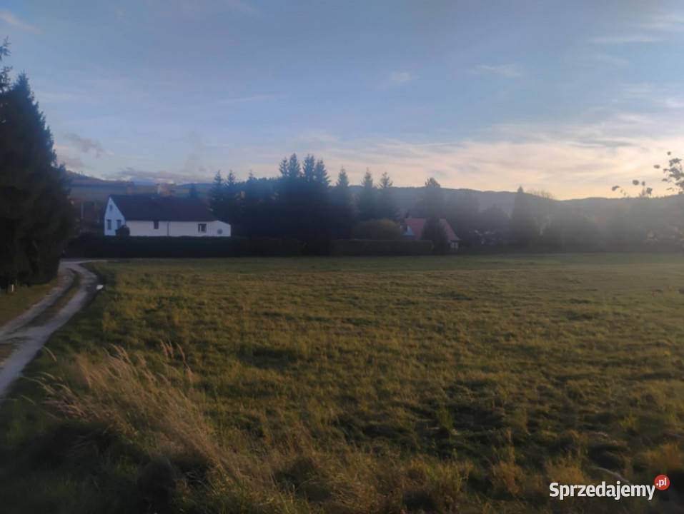Sprzedam działkę z pięknym widokiem i świetnym Sprzedaż Radochów